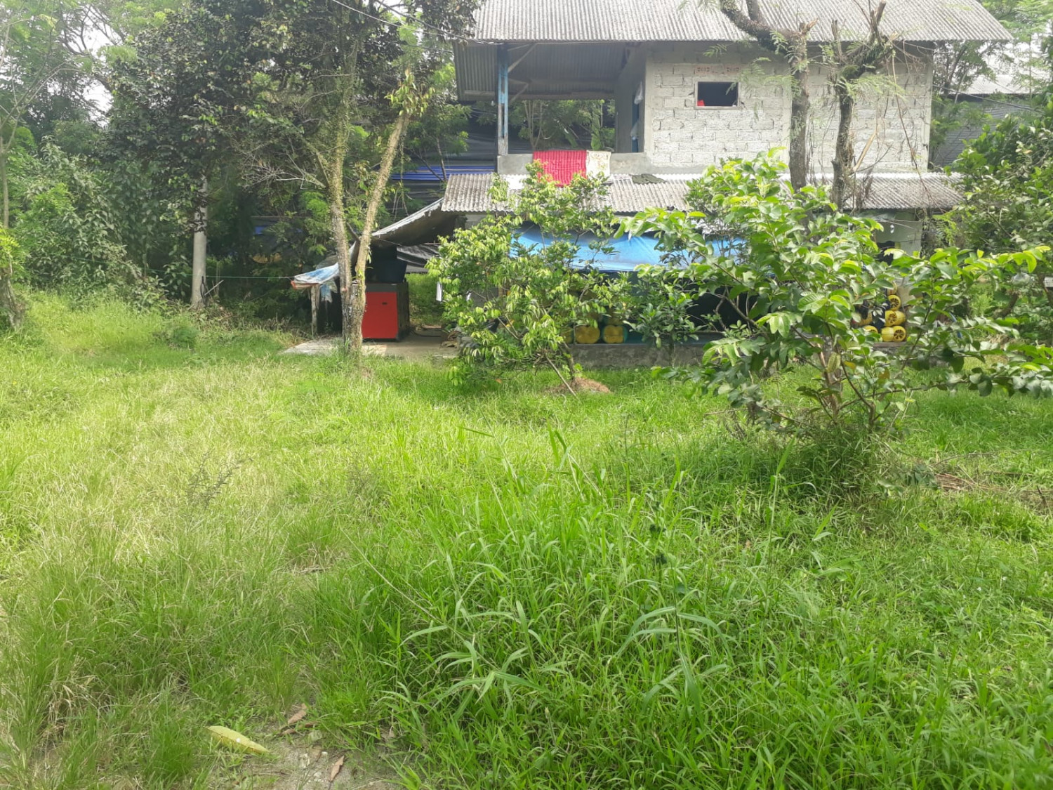 Tanah Di jual