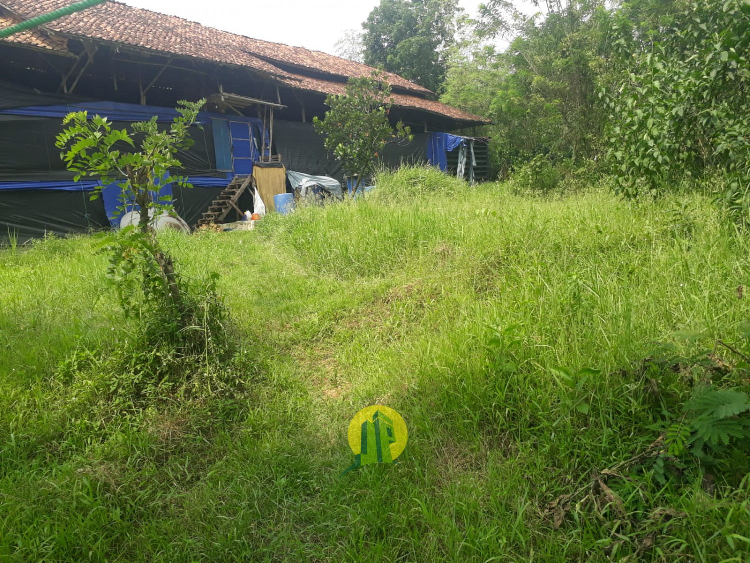 IMG-20230613-WA0067.jpg