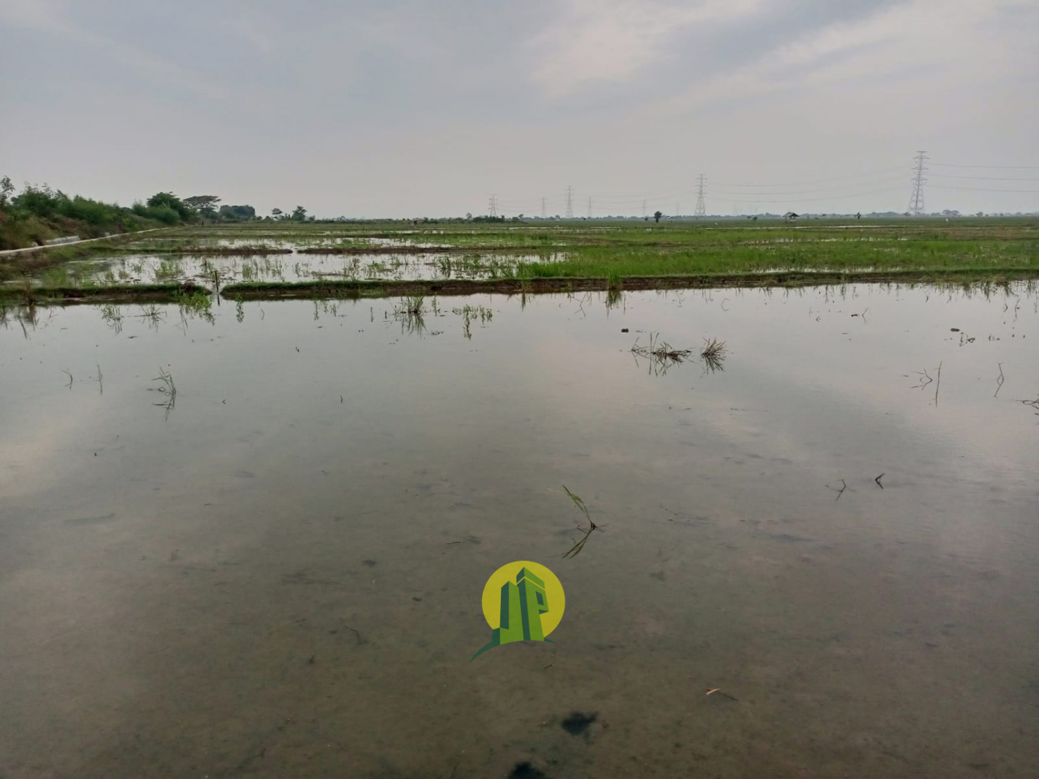 Tanah Sawah Karawang 1.jpeg