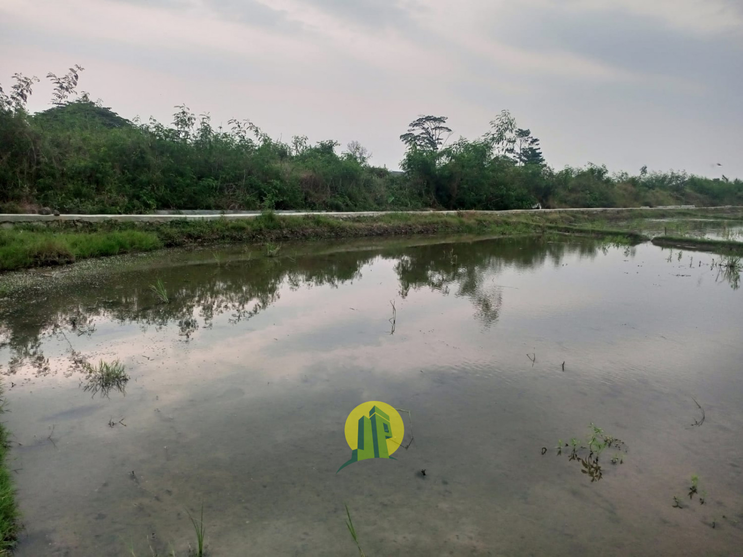 Tanah Sawah Karawang 2.jpeg