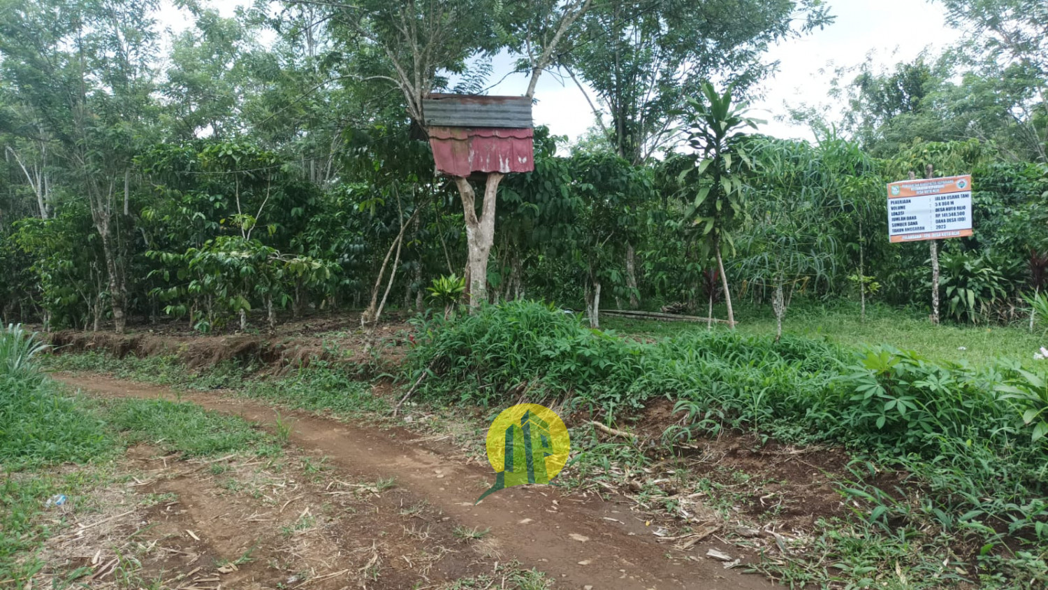 Tanah dijual lahan perkebunan produktif