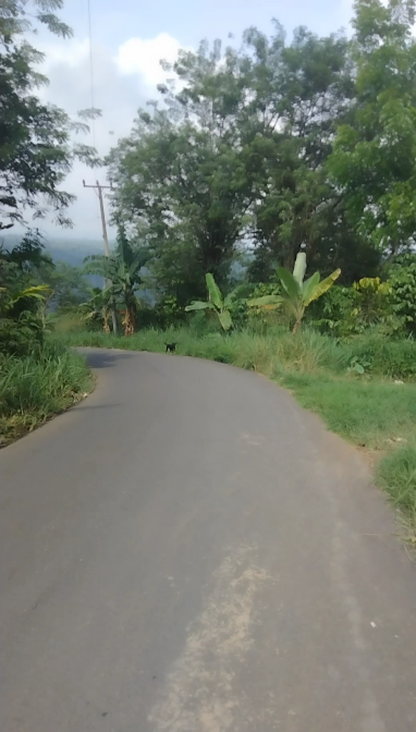 tanah kavling di Kepahiang