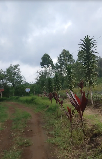 tanah kavling di Kepahiang