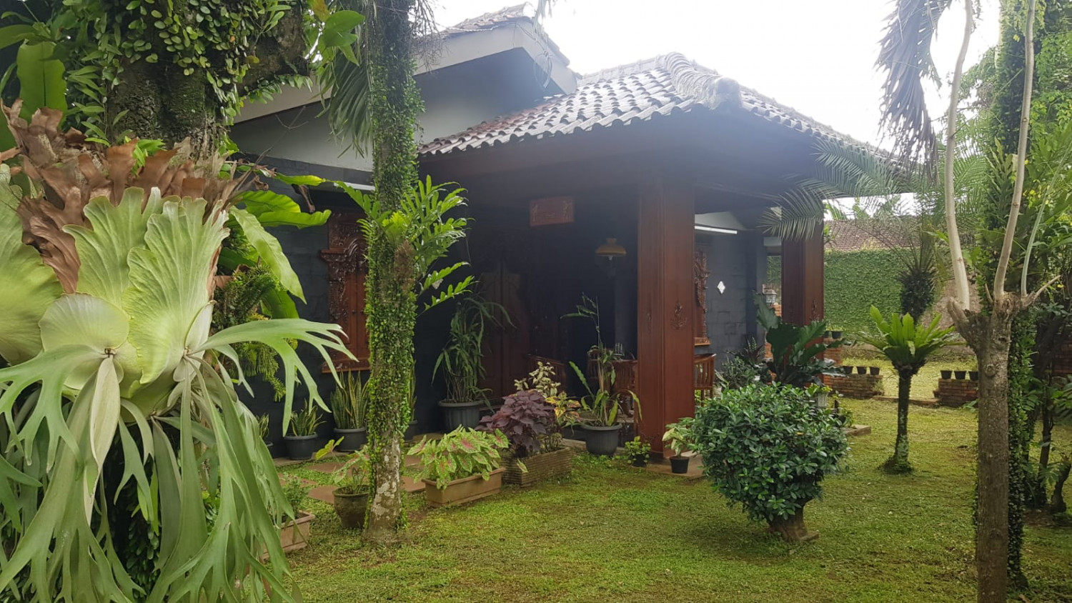 Rumah Cikeas Bogor.jpeg
