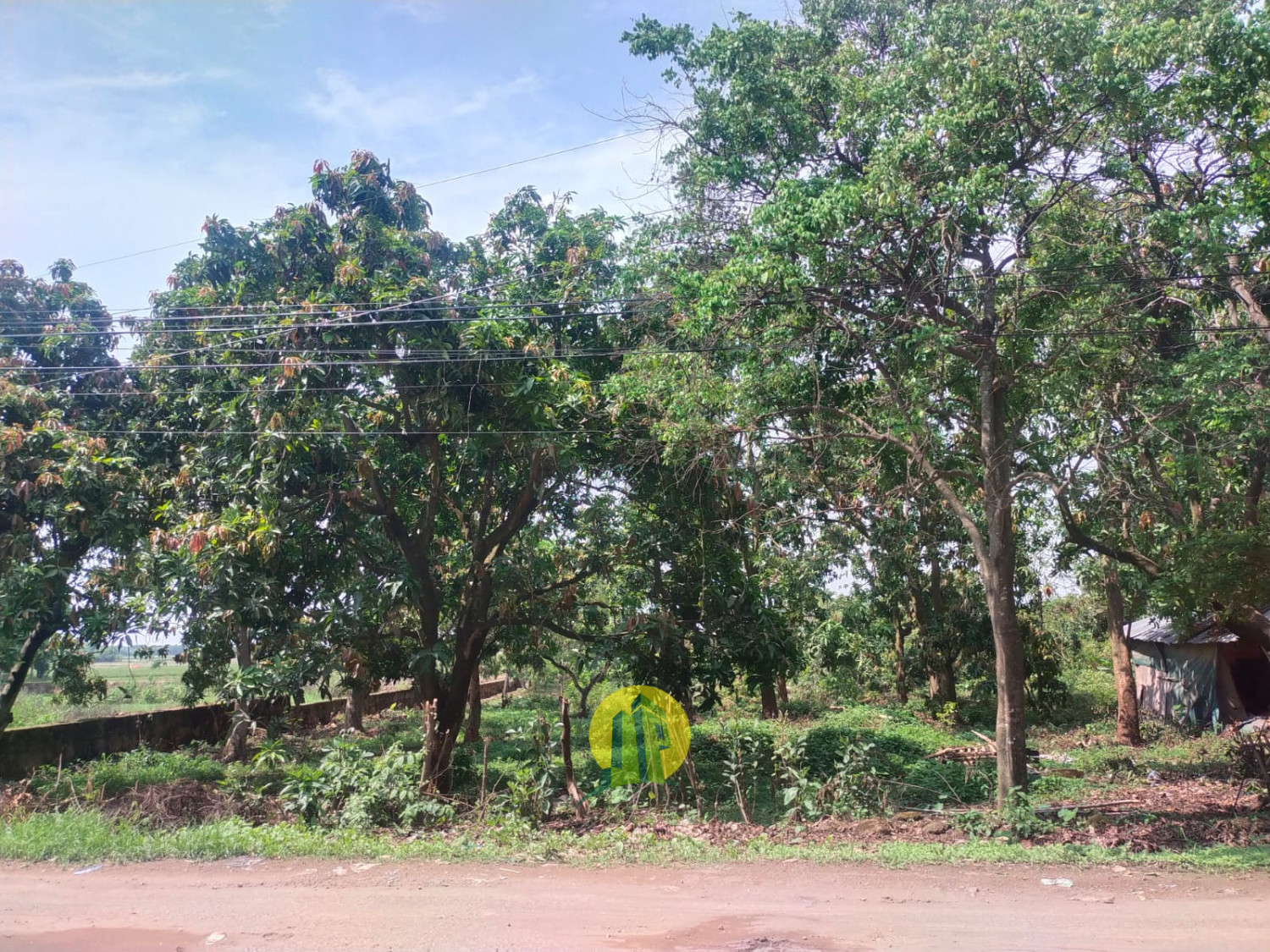 Tanah Gantar Indramayu 1.jpeg