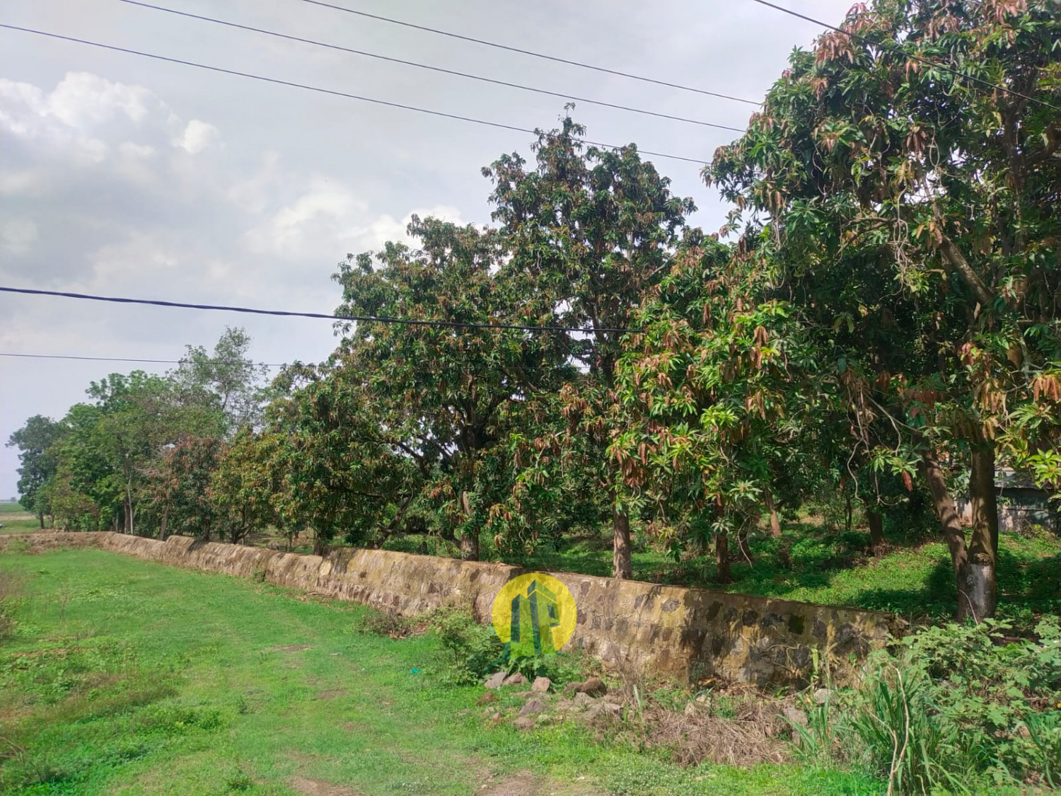 Tanah Gantar Indramayu 2.jpeg