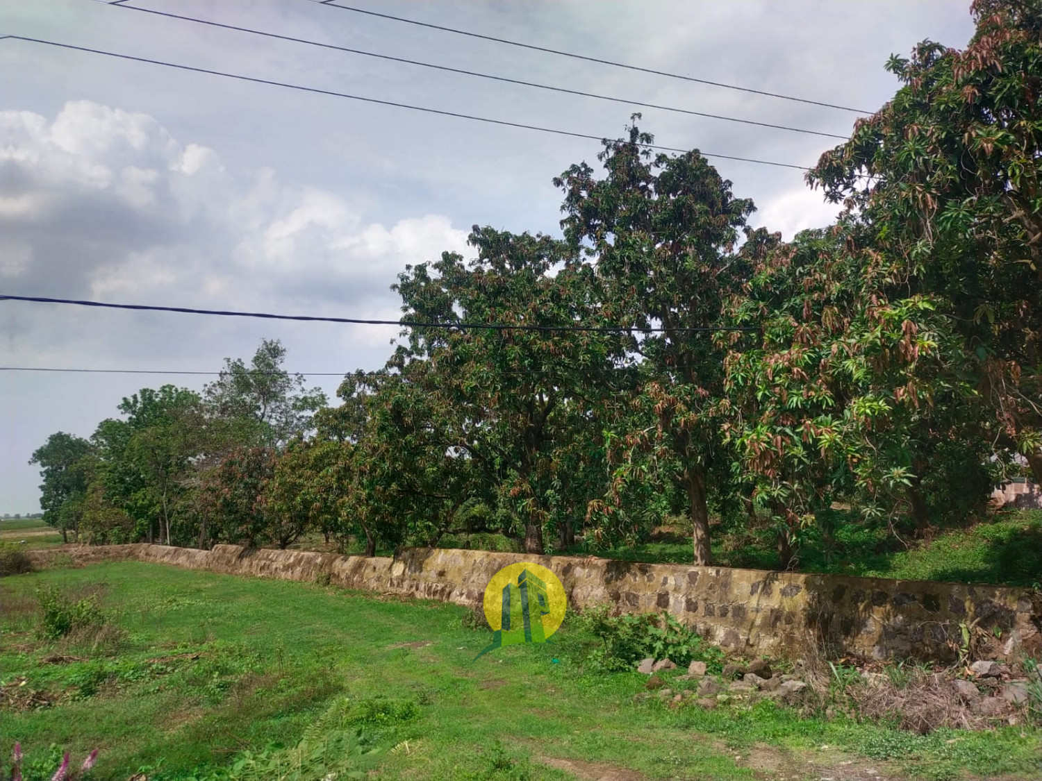 Tanah Gantar Indramayu 6.jpeg