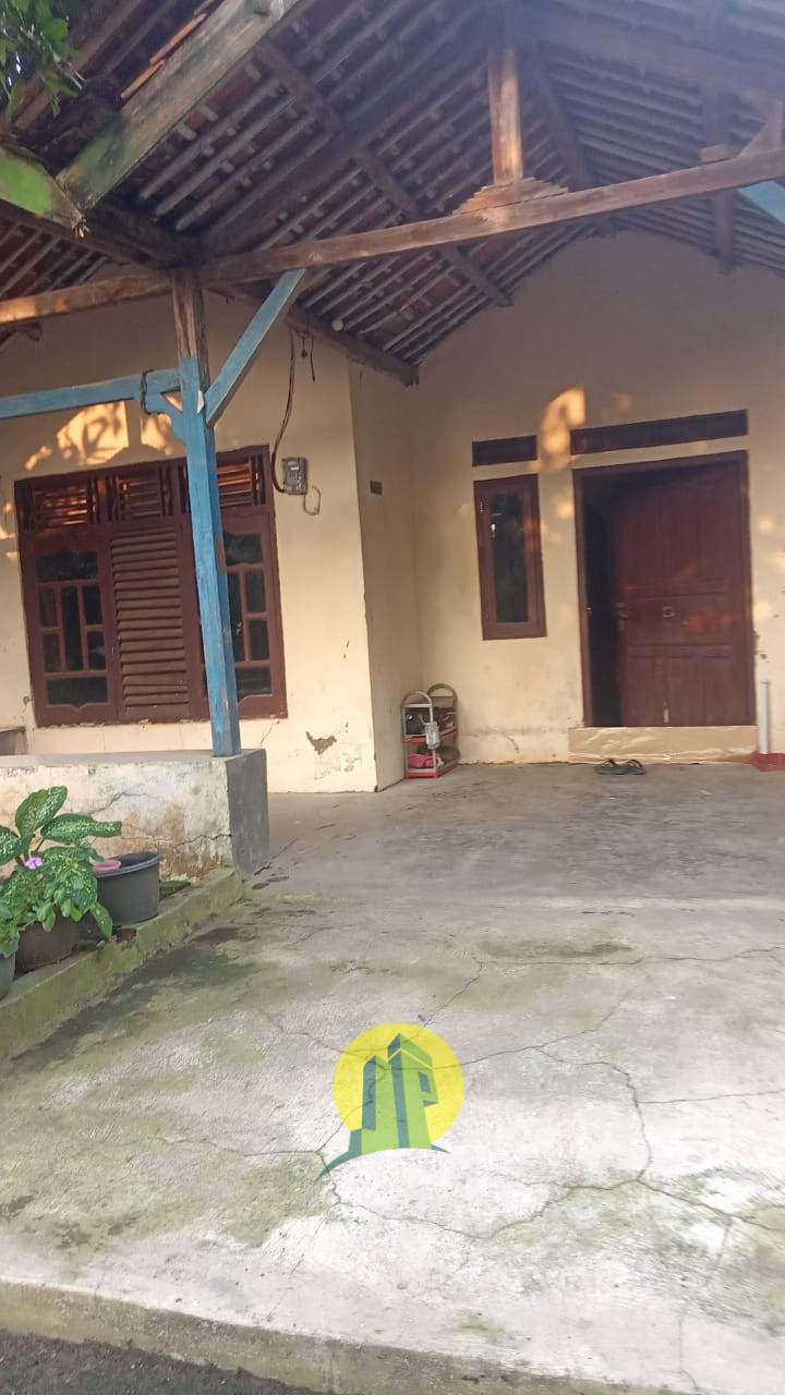 TAMPAK  DEPAN